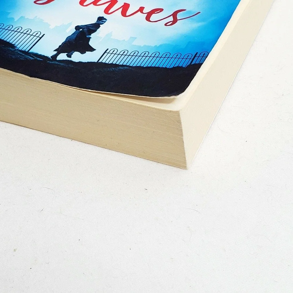 These Shallow Graves by Jennifer Donnelly Murder Mystery Book‎ Ex-Library Copy